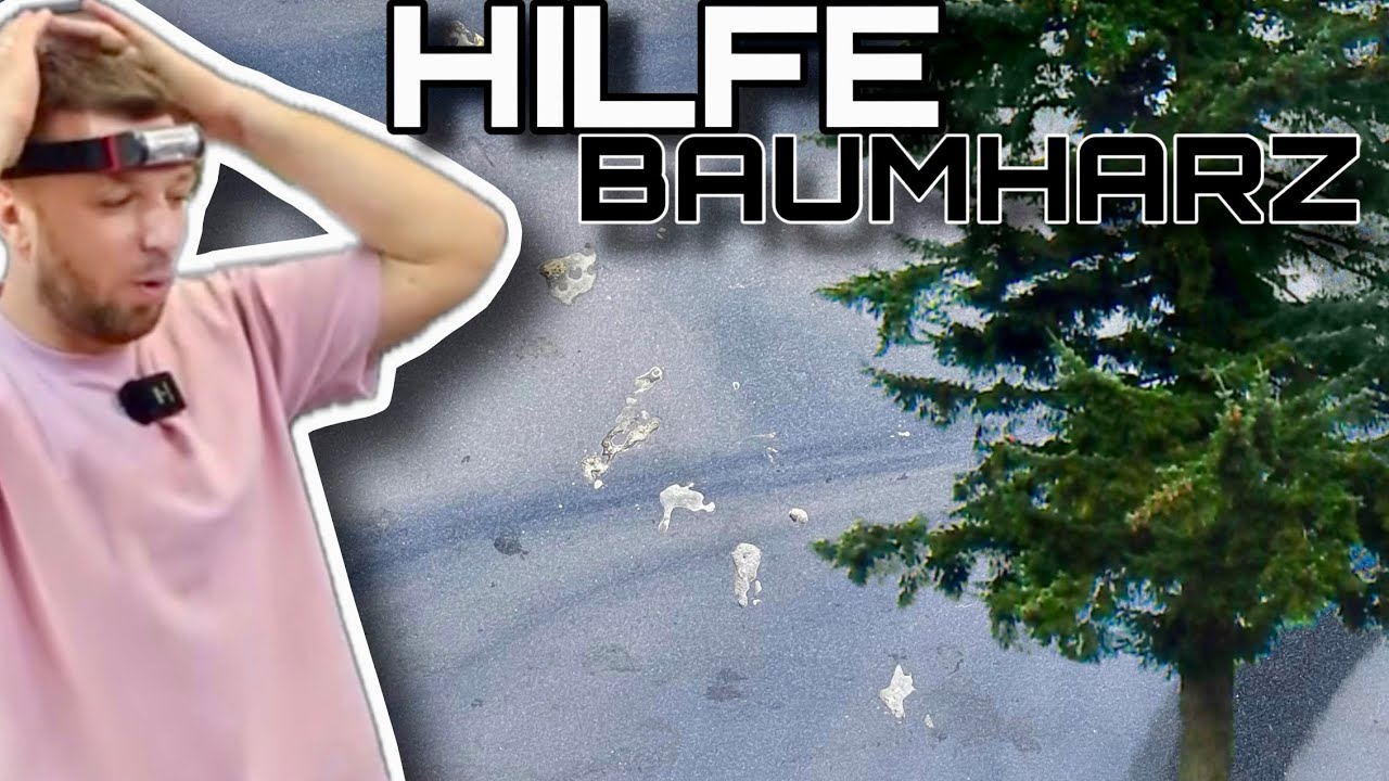 Baumharz vom Auto entfernen wie ein Profi ! Fahrzeug Aufbereitung Opel Insignia