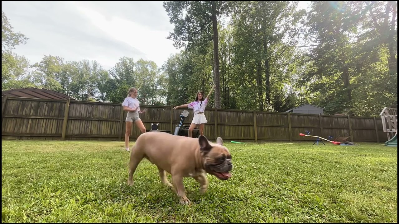 Addys party cheer performance!