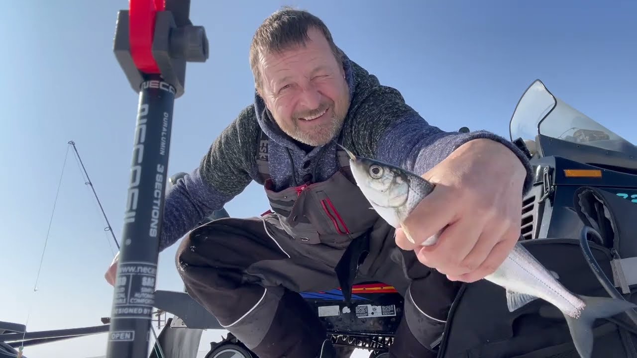 Crazy Cisco on Simcoe, 75 fish in 3hrs, how to catch Cisco#fishing #icefishing #lakesimcoe