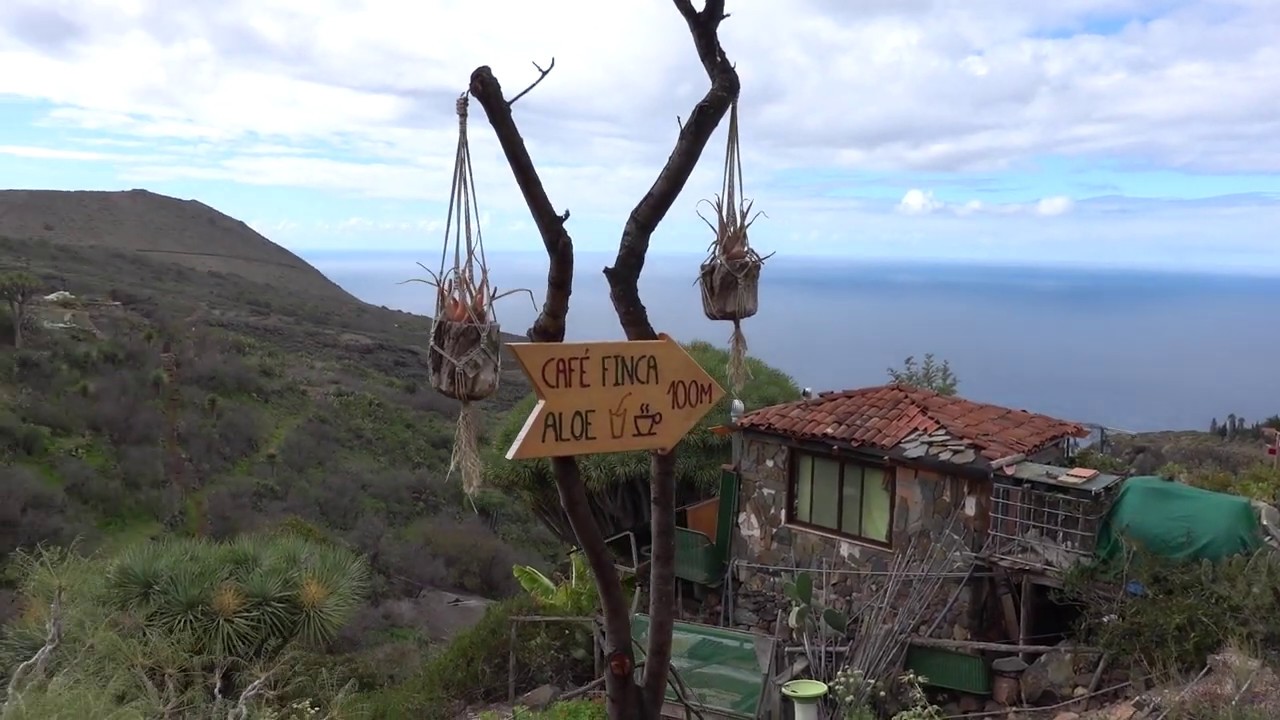 La Palma - Wanderung zu den Drachenbäumen bei Las Tricias