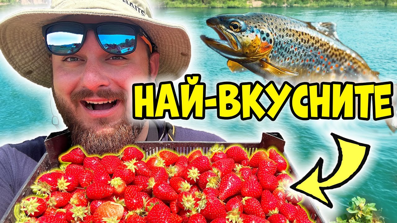 НАЙ-ВКУСНИСТЕ ЯГОДИ в България! Риболов на пъстърва на река Въча.