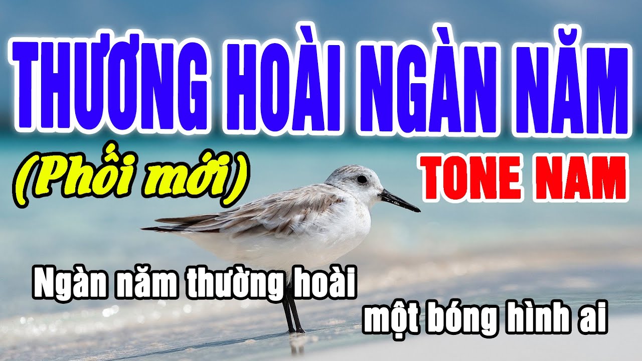 Karaoke Thương Hoài Ngàn Năm Nhạc Sống Tone Nam _ ĐVH