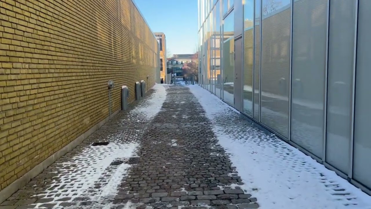 Technical University of Denmark (DTU) - Campus walk