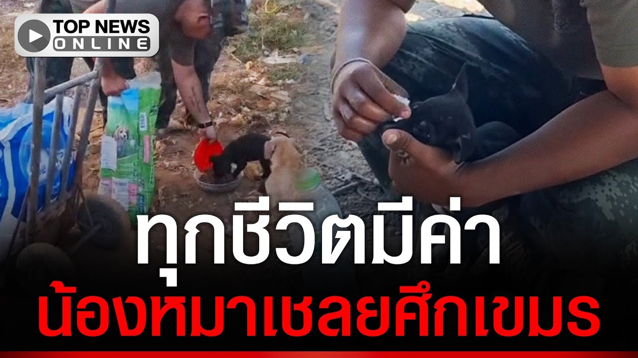 ชื่นชม ทหารไทยเดินให้อาหารน้องหมาที่ถูกพวกเขมรทิ้งไว้ในพื้นที่บ้านหนองจาน