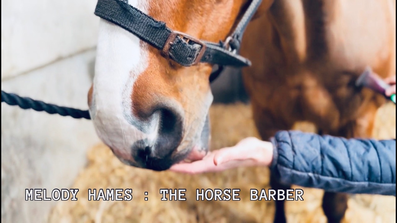 Melody Hames : The Horse Barber