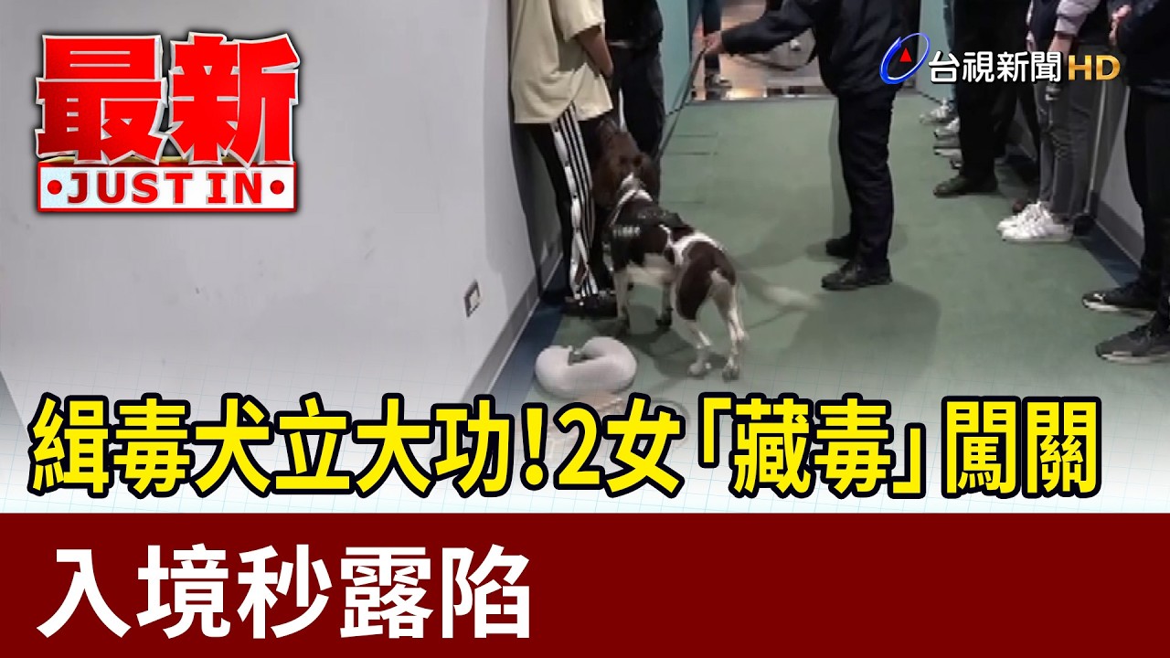 緝毒犬立大功！2女「藏毒」闖關 入境秒露陷【最新快訊】