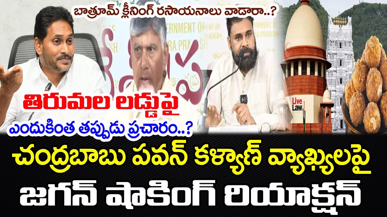 Ys Jagan Serious On Chandrababu Comments On TTD Laddu | PDTV News