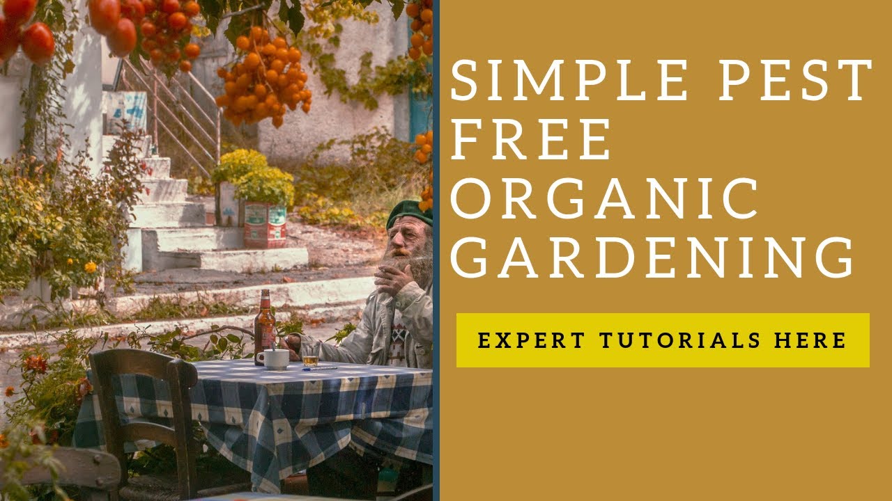 Simple Pest Free Organic Vegetable Gardening USING?