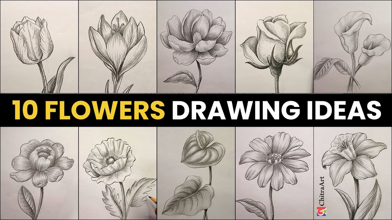10 Flowers Drawing Ideas | How to Draw Flowers with Pencil Shading Step By Step
