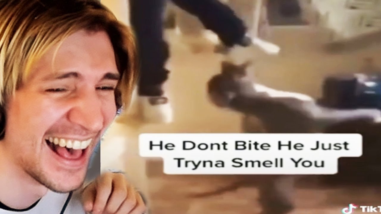 ACTUALLY FUNNY TIKTOKS