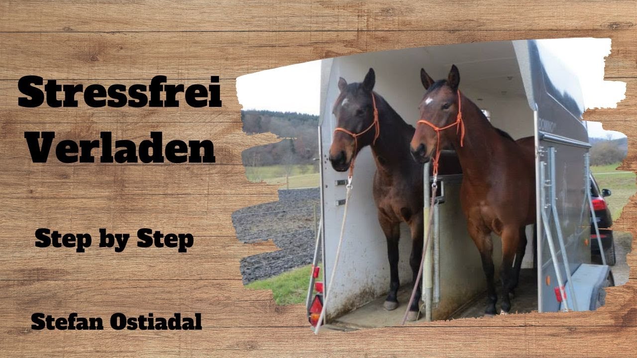 Stefan Ostiadal - Stressfrei Verladen