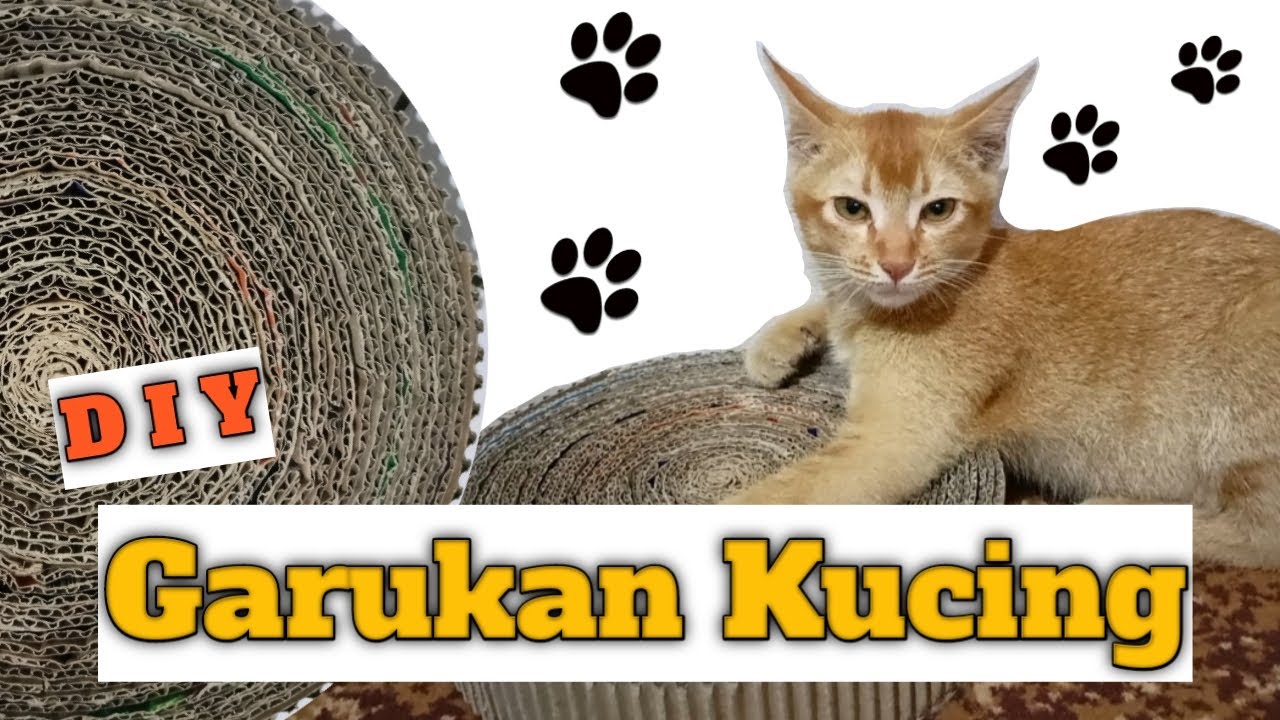 DIY Cat Scratcher | Cara Membuat Garukan Kucing