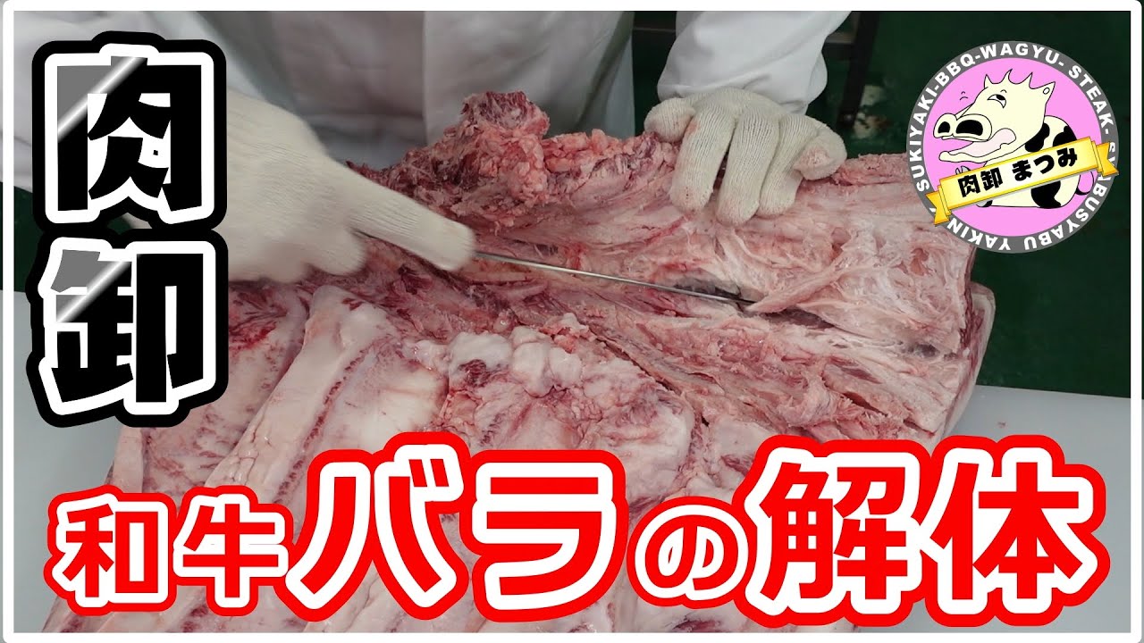 【和牛バラ解体】肉卸がカルビの原型“牛枝肉”を部位ごとに分解。カイノミ、インサイド、ツラ、タテバラなど９つに切っていきます。焼肉屋さん・肉マニア・塊肉大好きの方必見！肉音もお楽しみください。