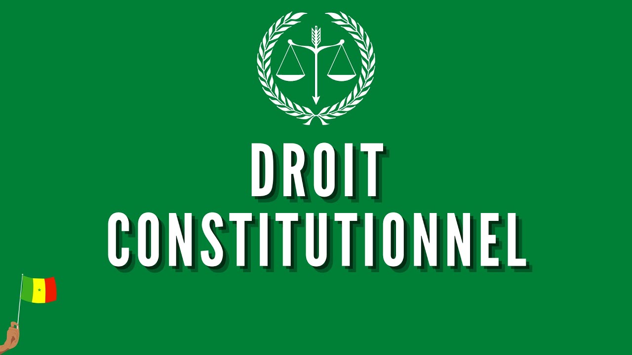 INTRODUCTION AU DROIT CONSTITUTIONNEL (cours de droit constitutionnel)