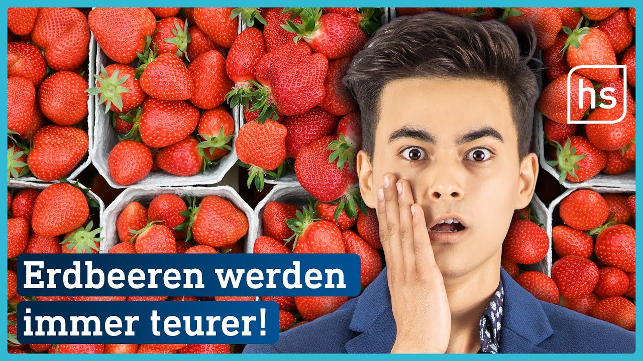 Darum steigen die Preise für Erdbeeren | hessenschau