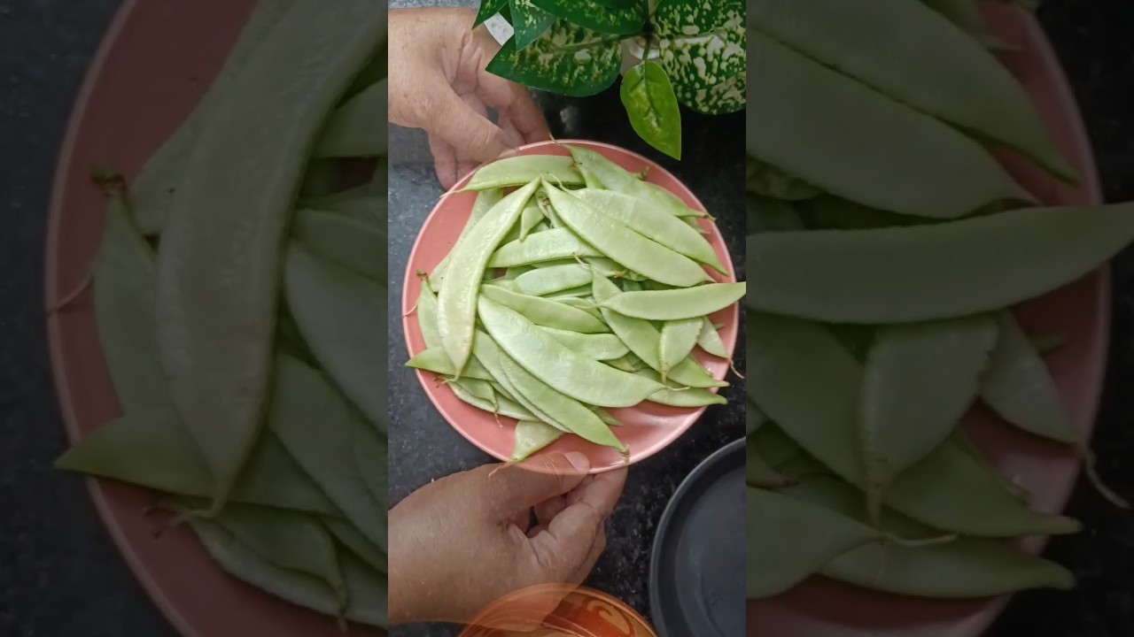 Sem Ki Sabji #rvanju #recipe #beans #recipe