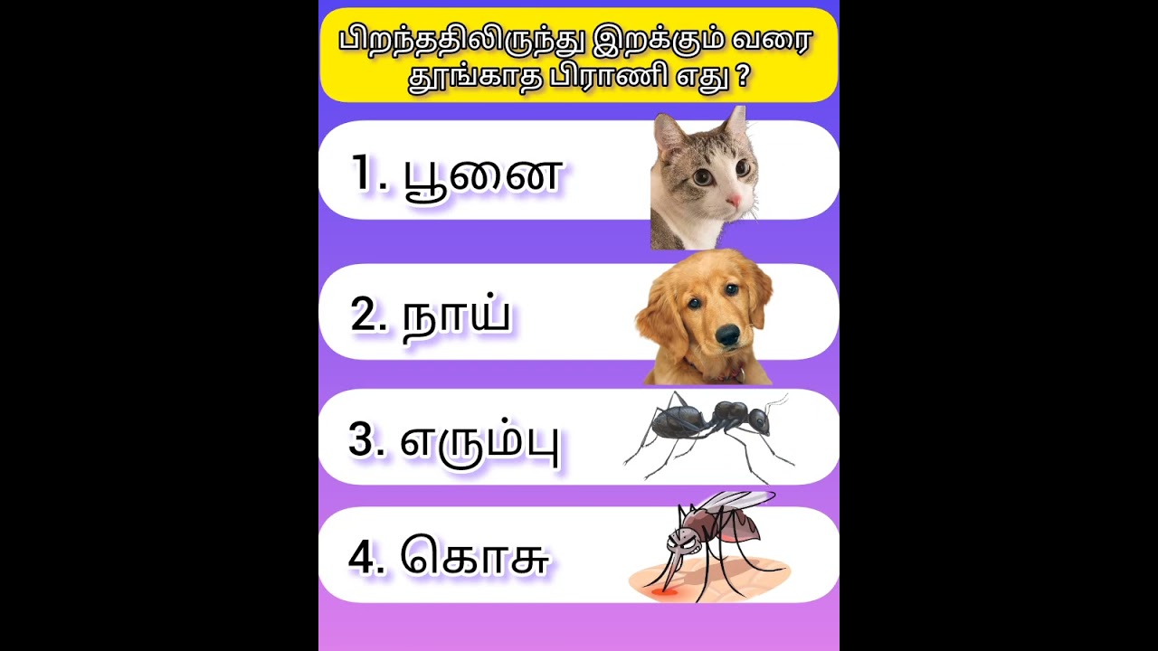 Gk question | Tamil gk quiz | General knowledge game | Question answer | Today riddles @konjamyosi