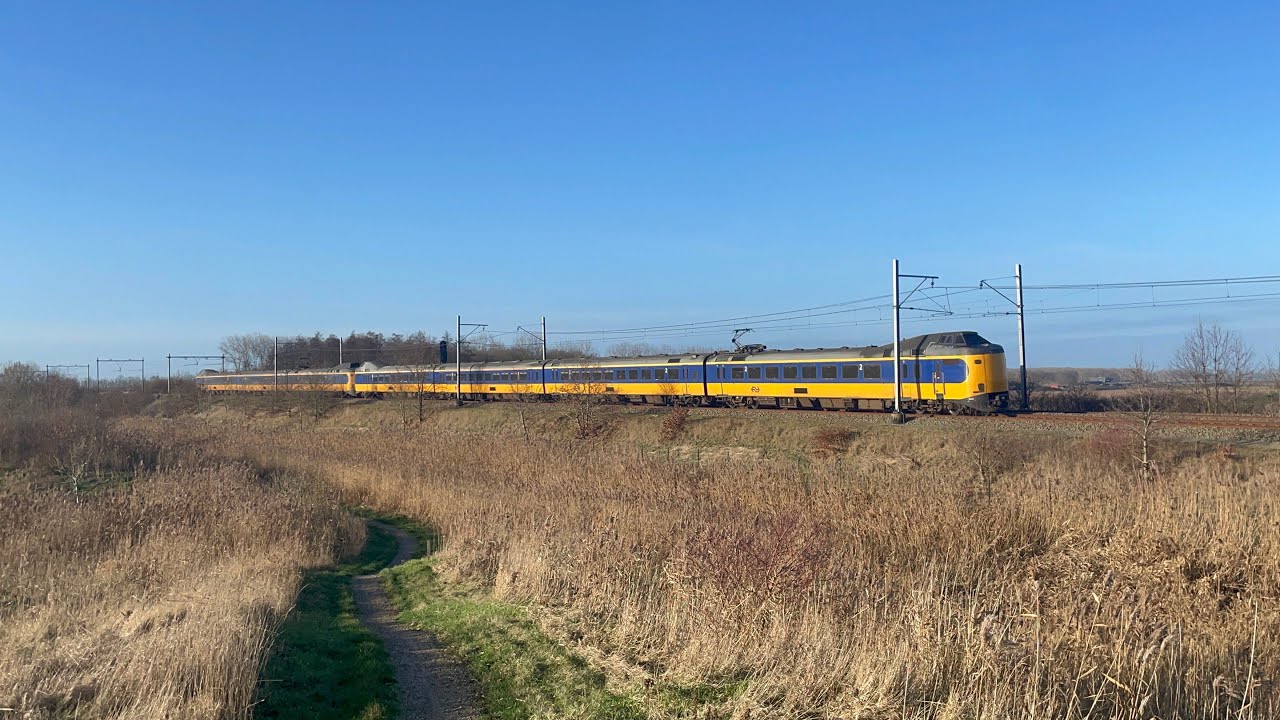Treinen in Oostvaarders