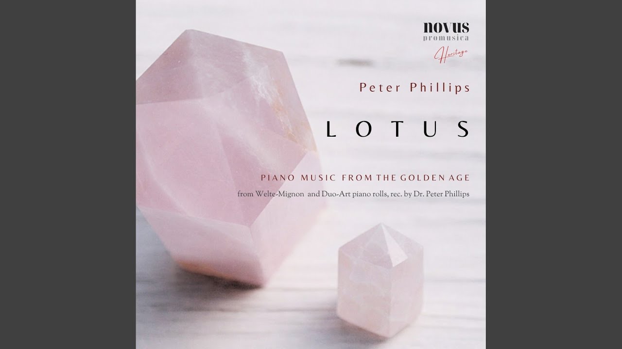 Danse Negre. Op. 58, No.5 (Duo-Art 6406)