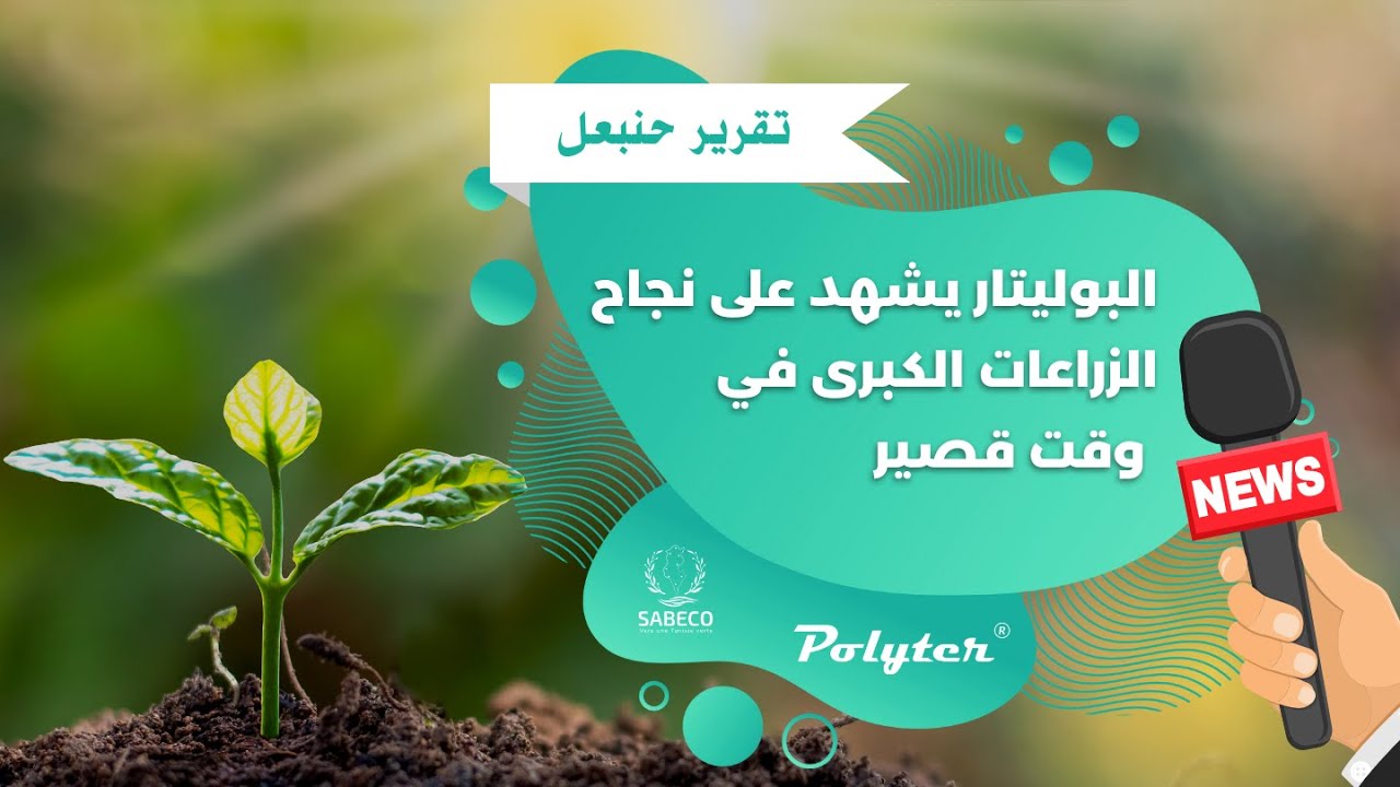 البوليتار يشهد على نجاح الزراعات الكبرى في وقت قصير