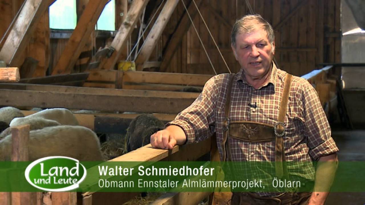 Ennstaler L&auml;mmer