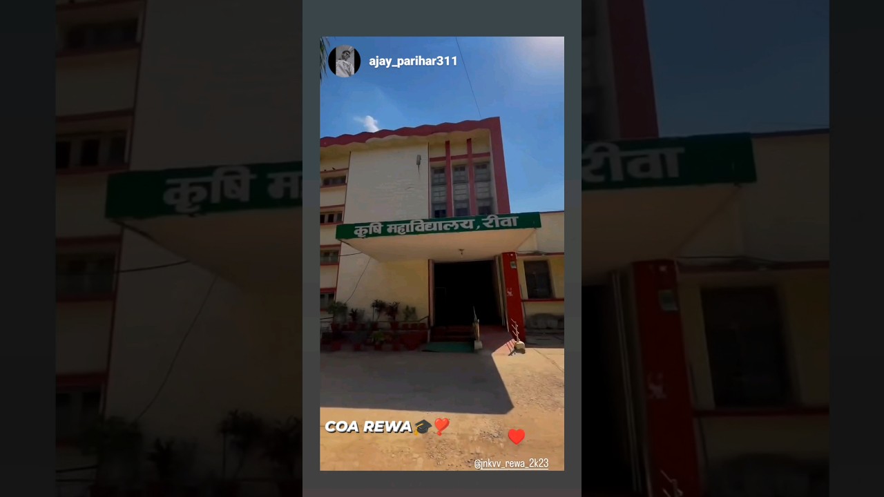 #college of agriculture rewa #collegelife #jnkvv #jnkvv rewa