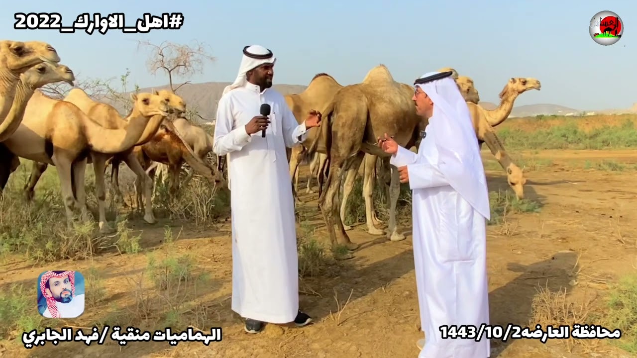 الاوارك منقية /فهد الجابري