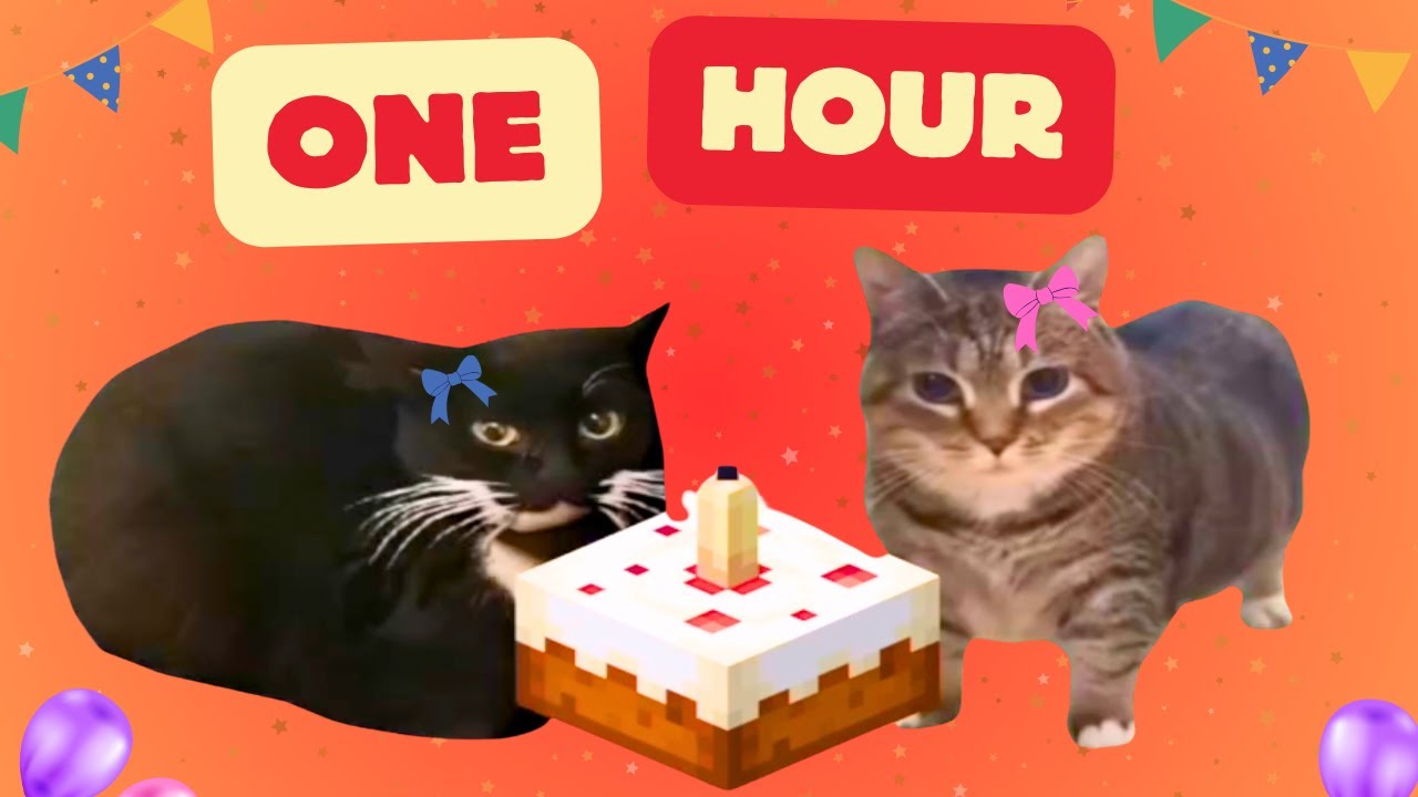 OIIA x Maxwell cat Happy Birthday [ 1 Hour ]