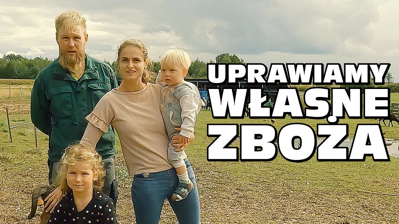 „Chcieliśmy jeść zdrowy chleb, więc uprawiamy własne zboża” - Gospodarstwo Rolne Grzeski Dąb cz. 1/2