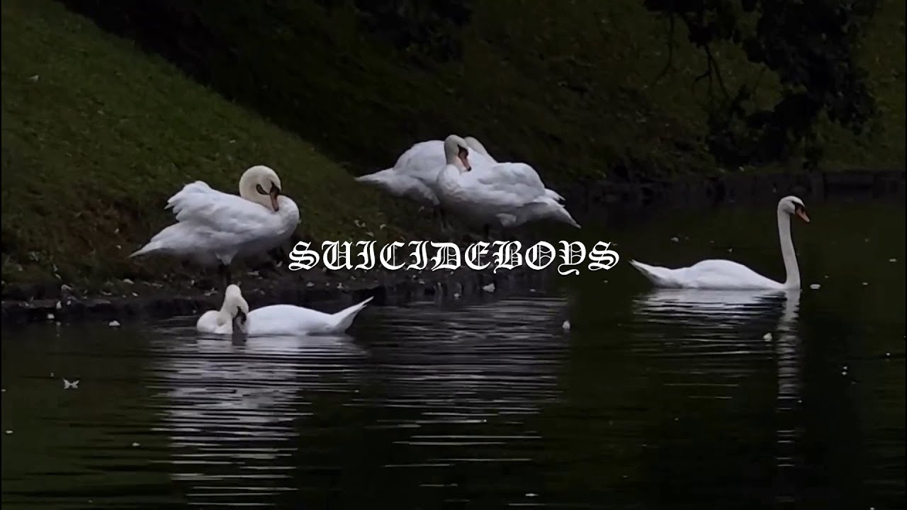 $UICIDEBOY$ - $UICIDAL IDEATION (LYRIC VIDEO)