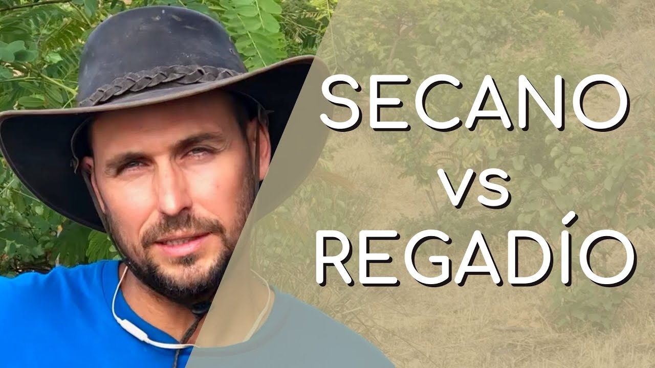 &iquest;SECANO o REGAD&Iacute;O? [Episodio 40]