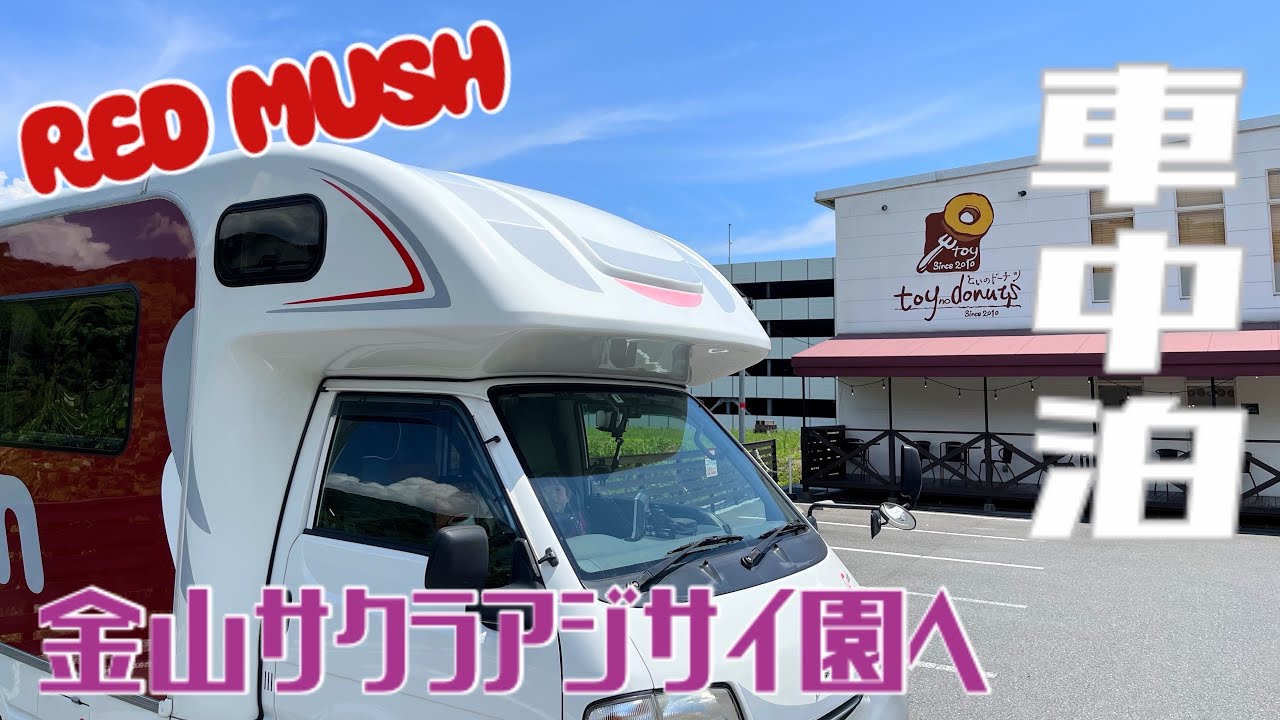 【車中泊】金山サクラアジサイ園へ