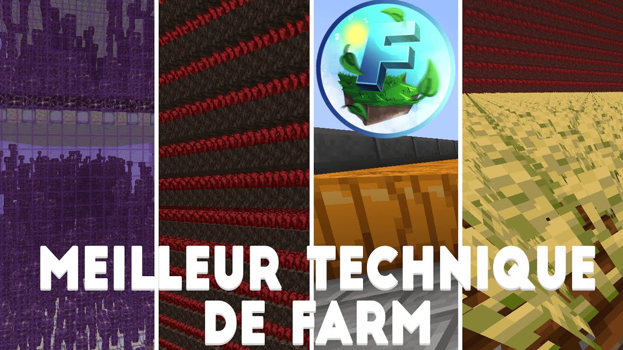 Les Meilleurs Techniques de Farm l'Argent sur FirstSky !