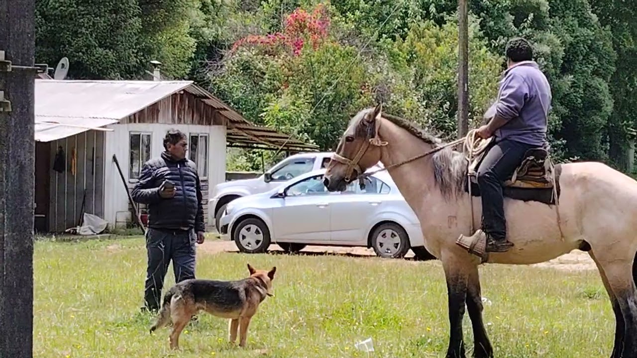 Recuerdo de mi viejito en sus campos❤️ 🫂 💞 (2025)