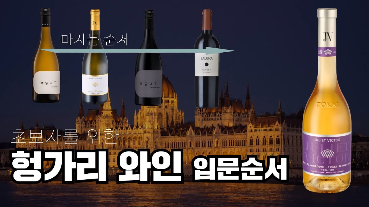3분만에 끝나는, 헝가리 와인의 모든것 (와인추천 | 공동구매)