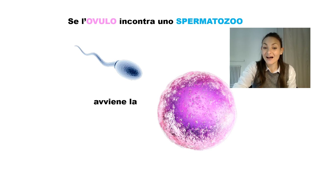 APPARATO RIPRODUTTORE