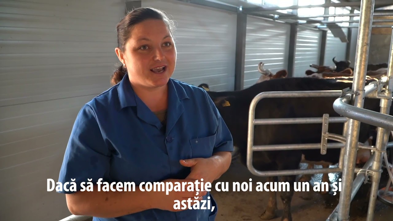 Istoria Svetlanei Butnarciuc, proprietara unei ferme moderne de la Borogani