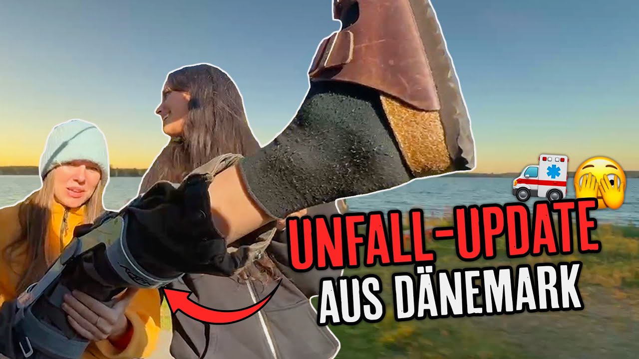 Dänemark Chaos & Knie Update | IRL Stream Highlights