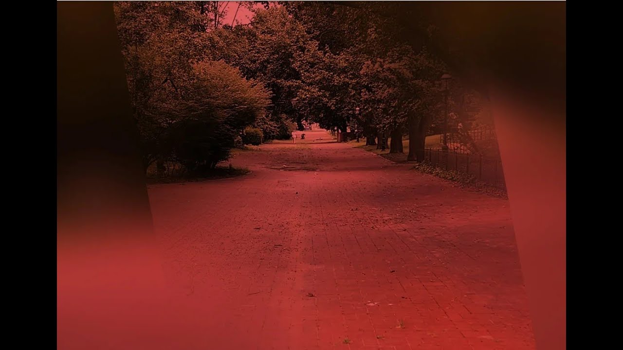The Red Brick Road Business Networking Day Party (April 2023)