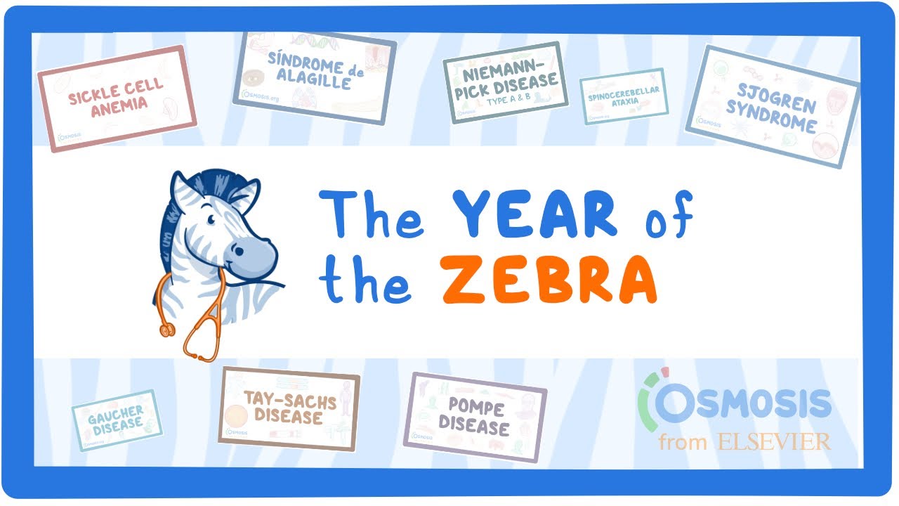 Announcing The Year of the Zebra in 2023: Educating Millions about Rare Disorders