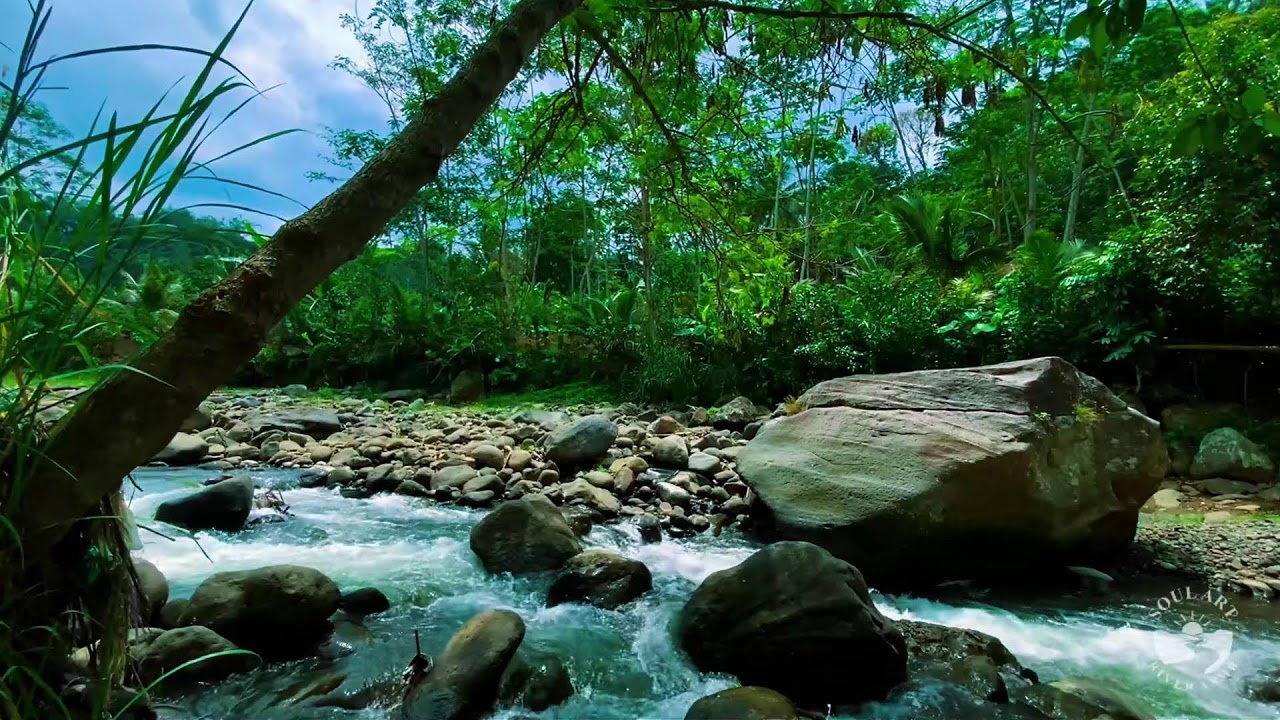 River Sounds & waterfall Sounds for Sleeping | Nature Stream for Relaxing & Stress Relief. #river 3