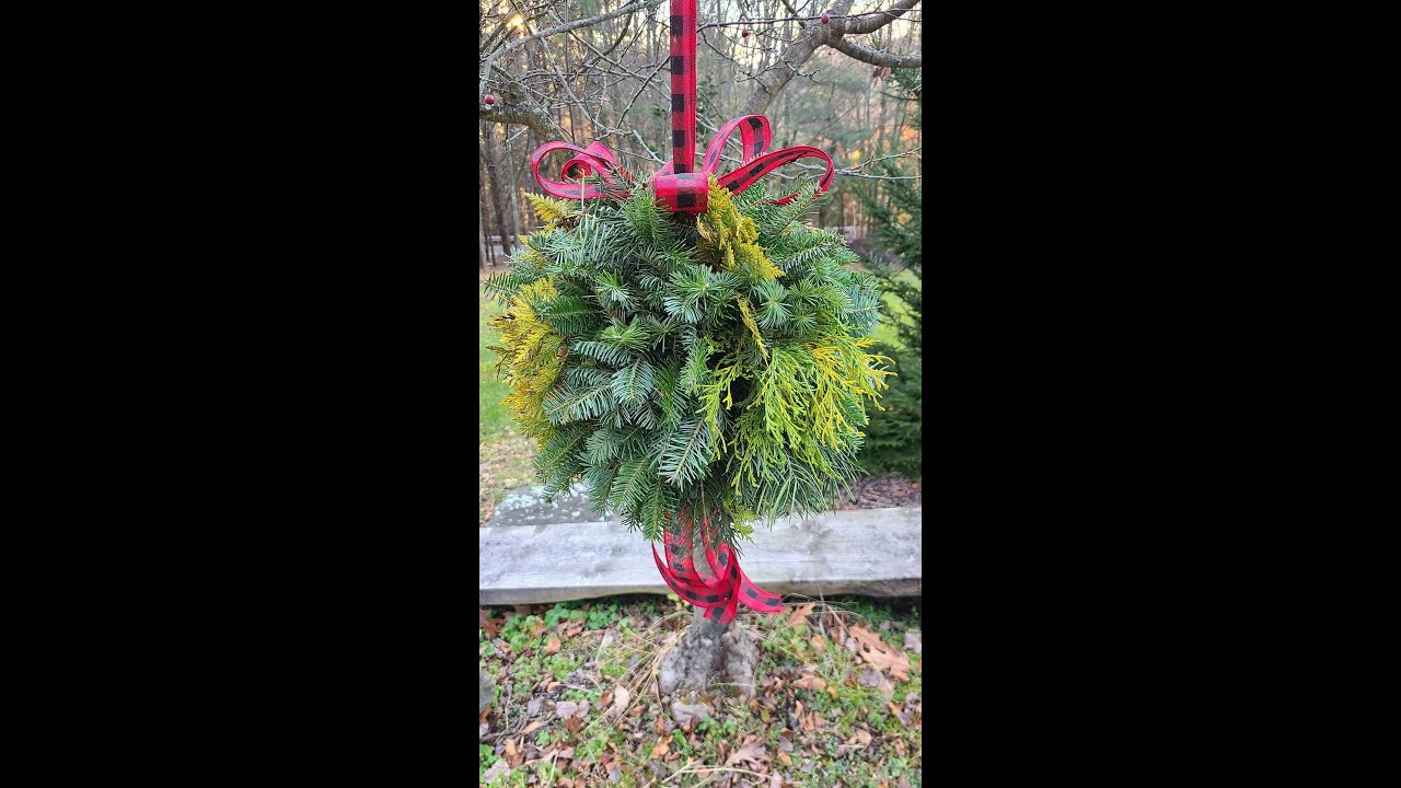 Evergreen LIVE Kissing Ball