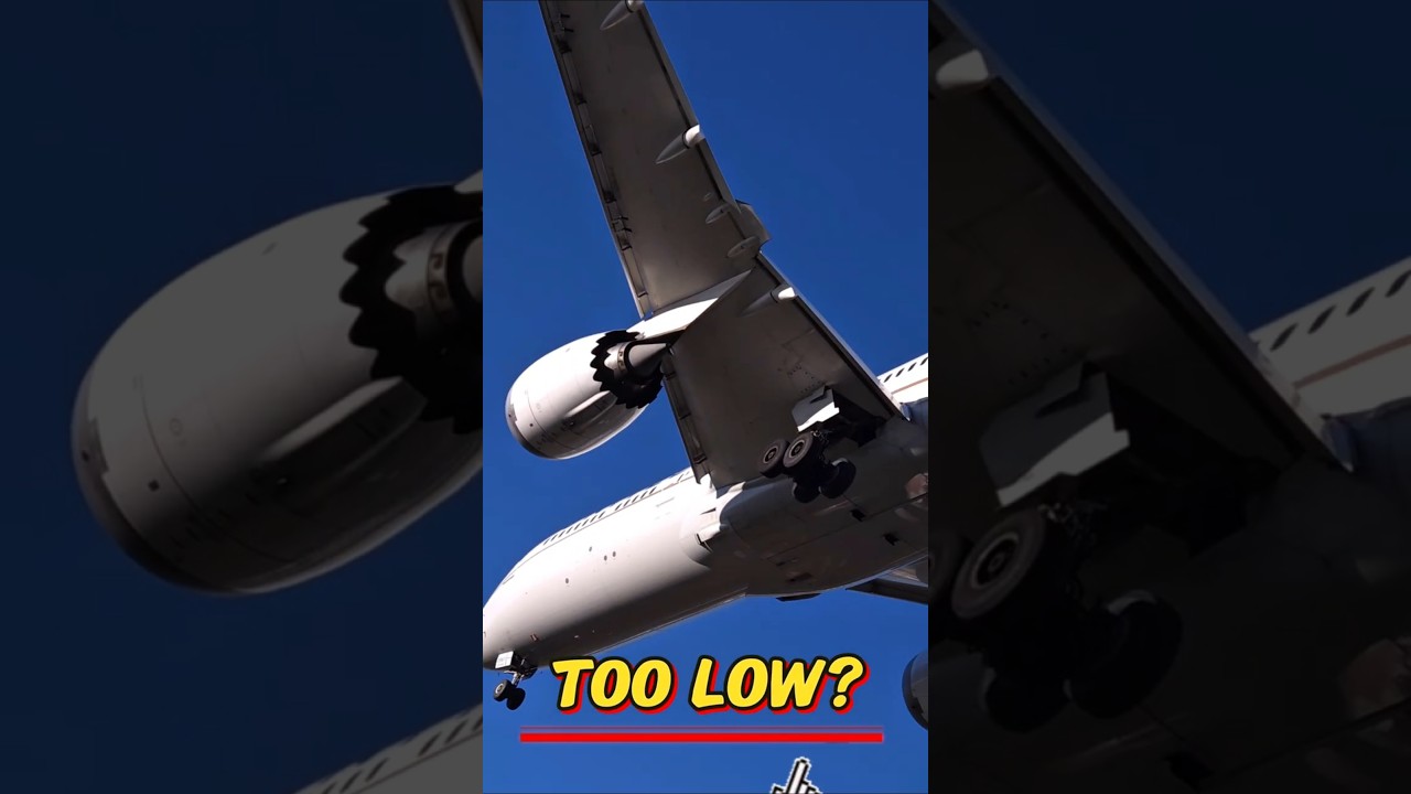 BOEING 787-9 OVERHEAD! United Giant Low Landing 😱✈️ #AvGeek #Aviation #boeing787