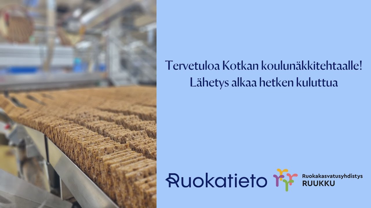 Kuinka koulunäkki valmistuu? | 5.-9. luokkalaiset: Virtuaalikierros näkkileipätehtaalle