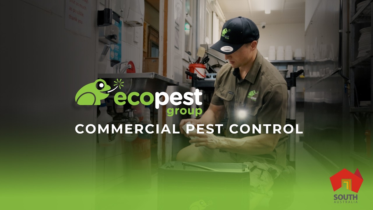 EcoPest Group | Adelaide Commercial Pest Control Experts