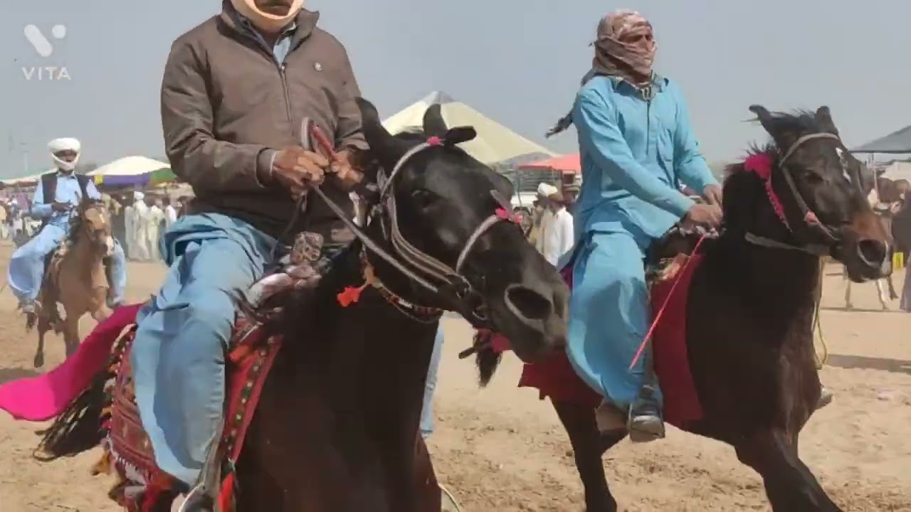 Horse Race Dera Ghazi Khan,Mela Mawishan D G Khan ,Ghoron ki race,