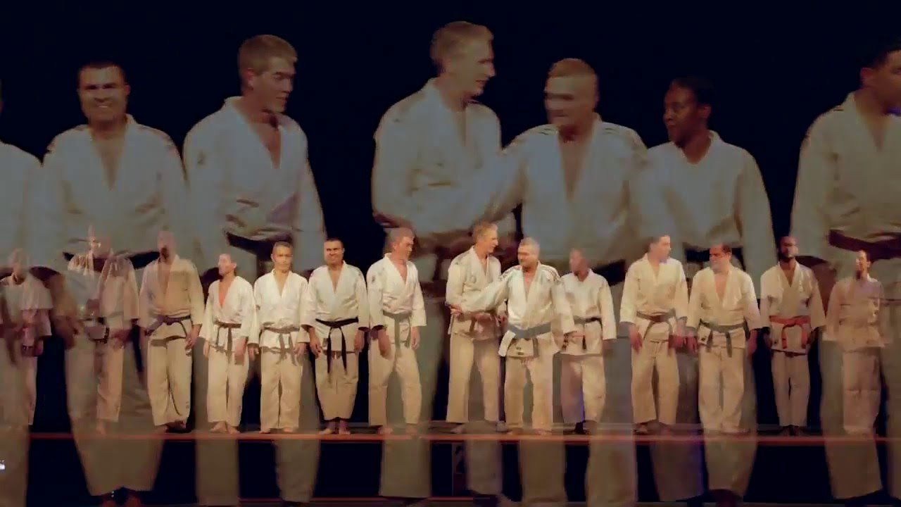 Gala des Arts Martiaux Aucamville 2016 - Jujitsu
