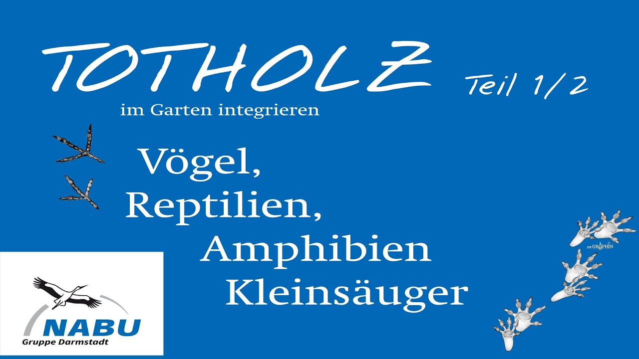 Totholz Teil 1/2 - Vögel, Reptilien, Amphibien und Kleinsäuger