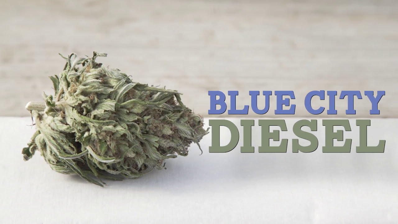 Greenbroz Bud Trimmer  VS Ez Trim Bud Trimmer