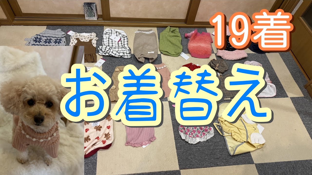 19着のファッションショー👚👕🥼👗